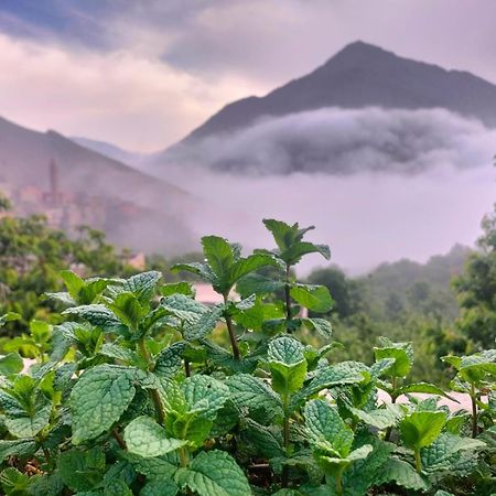 Gite Tizi Mizik Acomodação com café da manhã Imlil  Exterior foto