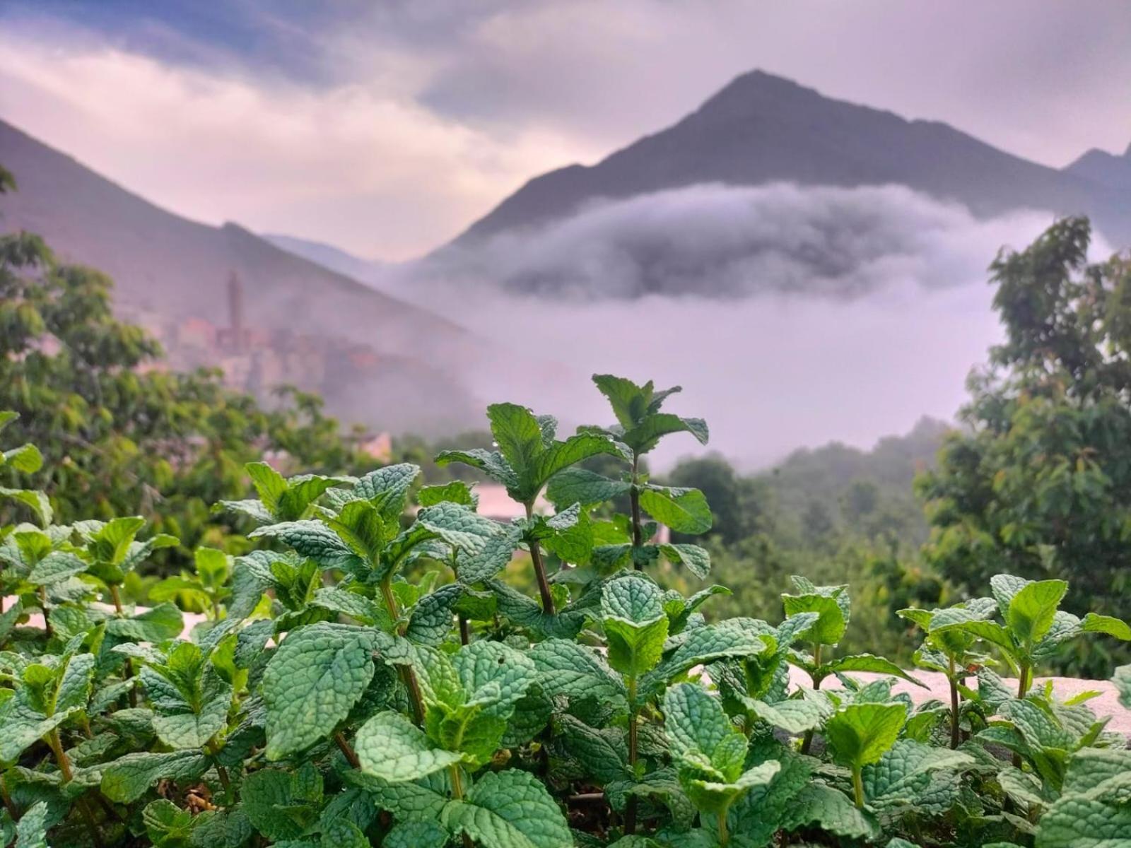 Gite Tizi Mizik Acomodação com café da manhã Imlil  Exterior foto